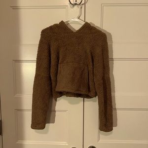 Bear Dance Cropped Cozy Hooded Sweatshirt